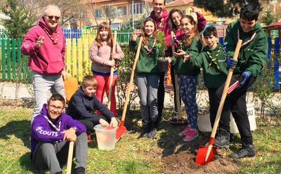 Деца засадиха три вида декоративни дръвчета в парка и детските