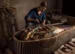 Минисериалът 'Тутанкамон' разказва за археолога, открил гробницата на момчето крал