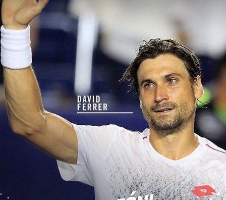 Испанският тенисист Давид Ферер благодари на всичките си фенове след
