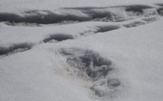 Индийската армия обяви че е намерила стъпки на митичния снежен