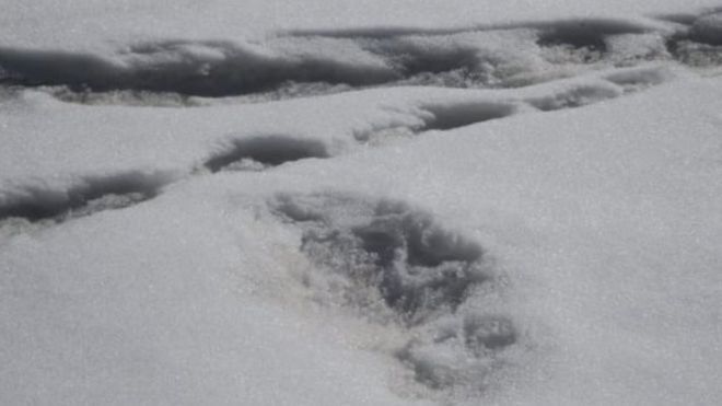 Индийската армия обяви, че е намерила стъпки на митичния снежен