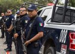 Мексиканската полиция откри 35 трупа при обиски в Гуадалахара