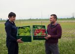 Kaufland и българските производители на плодове и зеленчуци – качество на продукцията и взаимно доверие