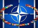 НАТО пусна своя компютърна игра в стил 'Стани богат'