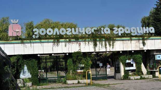 Входът за Зоологическата градина в София е безплатен днес, съобщиха