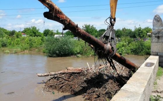 Екипи на АПИ и на община Горна Оряховица разчистват дървета