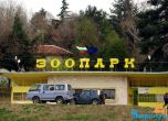 Крадци задигнаха фуража на зоопарка и 30 лотарийни билета в Благоевград