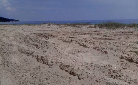 Багер е унищожил част от дюните в Камчия съобщи екокоалицията