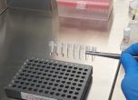 В БАН разработват ново поколение ДНК тестове за хранителни инфекции