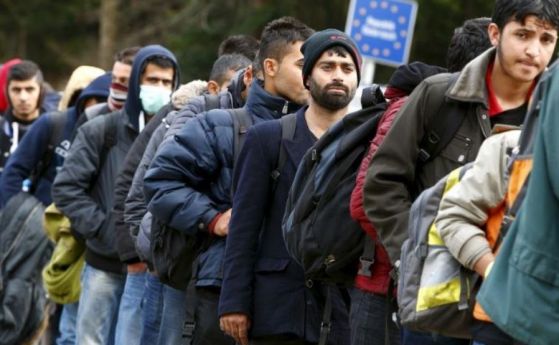 Гръцката полиция на остров Лесбос е арестувала 13 души търсещи