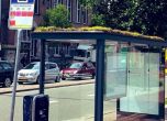 Холандски град направи автобусните си спирки атрактивни за пчелите