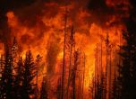 Пожар в гората над Свети Влас