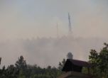 Отново пламна пожарът край Реброво, спешно търсят доброволци