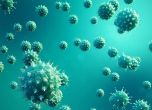 Вируси атакуват гърлото, грипът идва през ноември