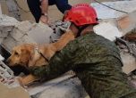Албания 29 часа след земетресението: 27 жертви, 650 ранени, шестима изчезнали