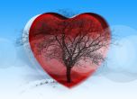 Как да пазим сърцето през зимата