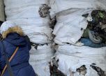 Откриха 25 т незаконен боклук от Салермо на пристанище Варна-Запад (обновена)