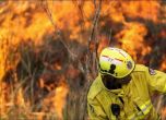 Пожарите в Австралия се възобновиха