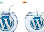 WordPress – клониране на сайт