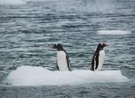 Температурен рекорд на Антарктида: за пръв път градусите надхвърлиха 20