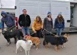 И 22 кучета напуснаха България днес