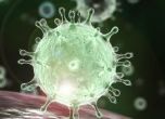 Няма рязко повишаване на случаите на коронавирус извън Китай