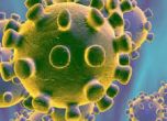 Първи случаи на коронавирус в Хърватия и Австрия