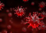 Американска компания разработи ваксина срещу коронавируса