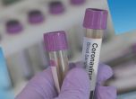 Два случая на коронавирус в България