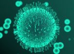 Изследване: Коронавирусът е най-активен при 4 градуса по Целзий