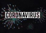 Американското разузнаване: Китай крие реалния мащаб на епидемията от коронавирус, данните са фалшиви