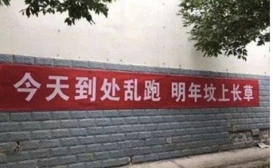 ''Ако обичате родителите си, заключете ги!'' и ''Изберете къде да лежите: на дивана или в гроба'': китайските лозунги за Covid-19