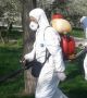Започна битката с кърлежите в столичните паркове и градини