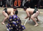 Коронавирусът стигна и до японското сумо