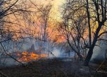 Киев обяви, че се е справил с пожара до АЕЦ 'Чернобил'