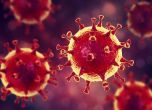 Над 2 млн. са заразените с коронавирус по света, излекуваните са над 420 хиляди