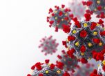 Климатът и температурата не влияят върху разпространението на коронавируса, твърдят учени