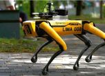 Куче робот в сингапурски паркове следи социалната дистанция. Снима и ''повтаря'': Стойте на метър разстояние!