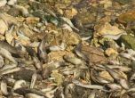 ЕК е открила наказатена процедура срещу България за липсата на пречистване на отпадните води