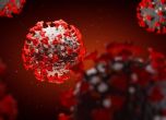 Убива ли топлото време коронавируса - учените продължават да гадаят