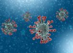 Тестват за коронавирус 12 деца от столична детска градина