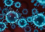 Учени: COVID-19 е два пъти по-заразен от другите коронавируси