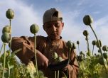 ООН: Пандемията ще увеличи производството и употребата на наркотици