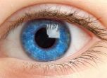 Учени от Генуа изобретиха течна ''протеза'' на ретина