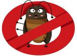 Хлебарките и как да се справим с тях