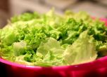 Предупреждение: Бактерията салмонела устойчиво се заселва в зеленчуците