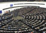 Осем НПО сезираха Европарламента за поругаването на правото в България