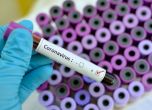 Румъния на първо място по смъртност на пациенти с коронавирус