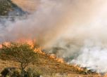 Затвориха магистрала Марица заради пожар в борова гора