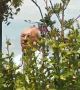 Доган говори с протестиращи през оградата на сарая в Росенец (видео)
